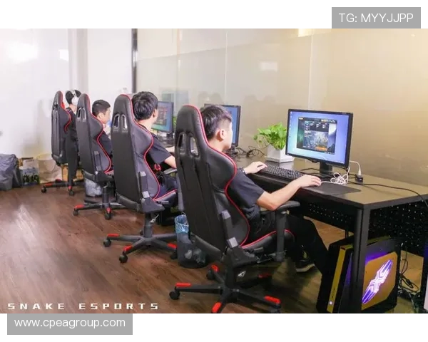 LNG战队包夹战术分析及其在比赛中的成败得失探讨