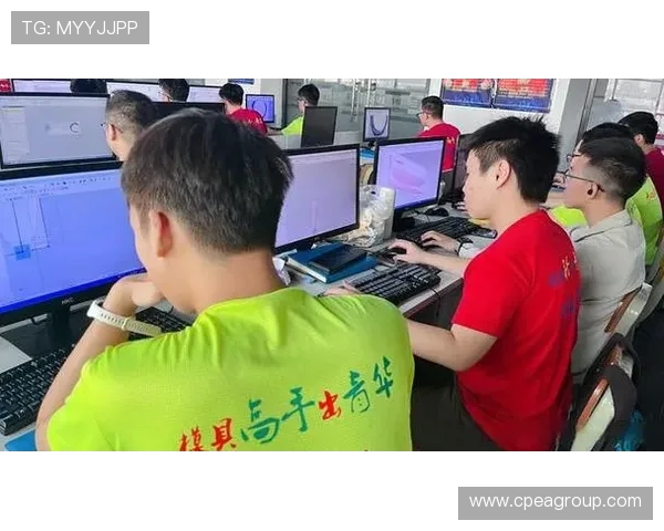 上海飞盘队中路突破创新之路探索与战术解析