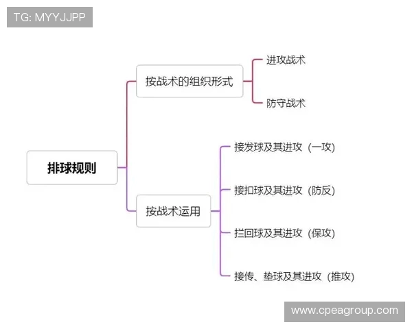 成都排球队防反体系解析与排球战术创新研究